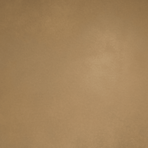 Goldenox Bronze™